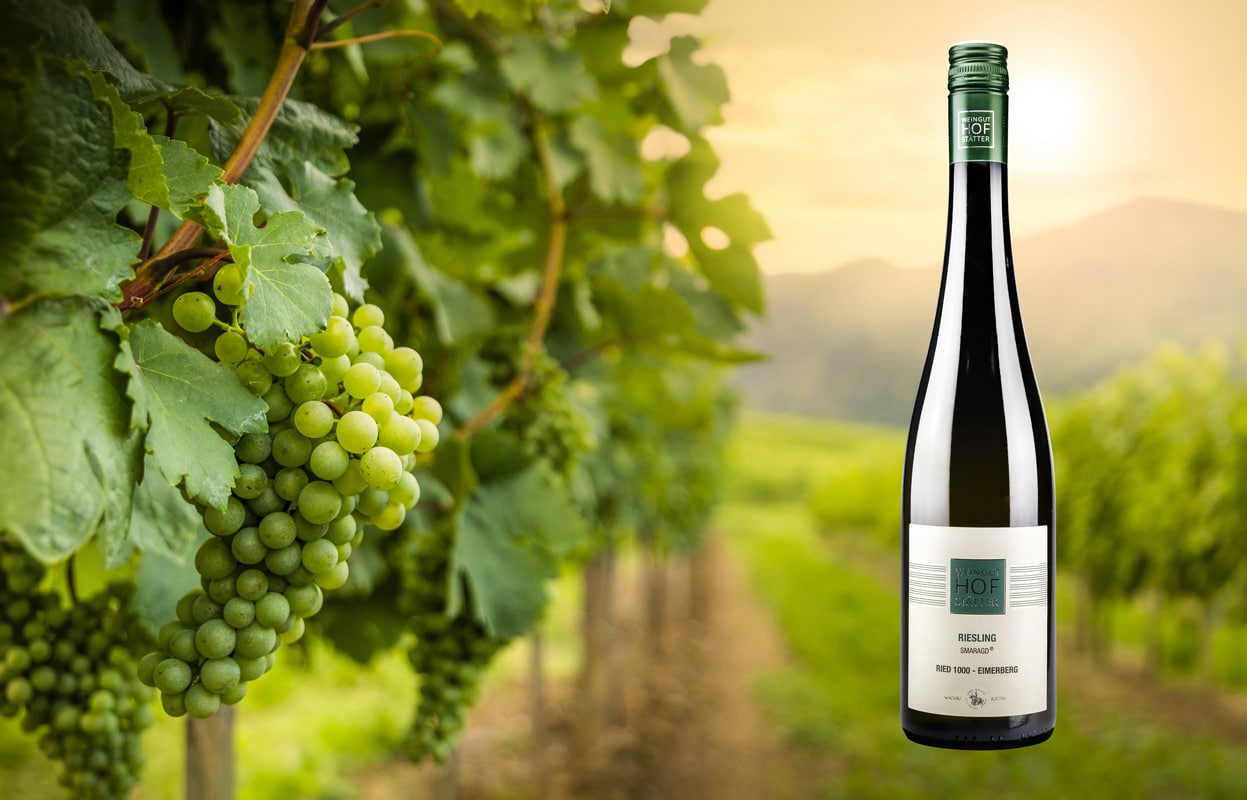 Weinberg in der Wachau