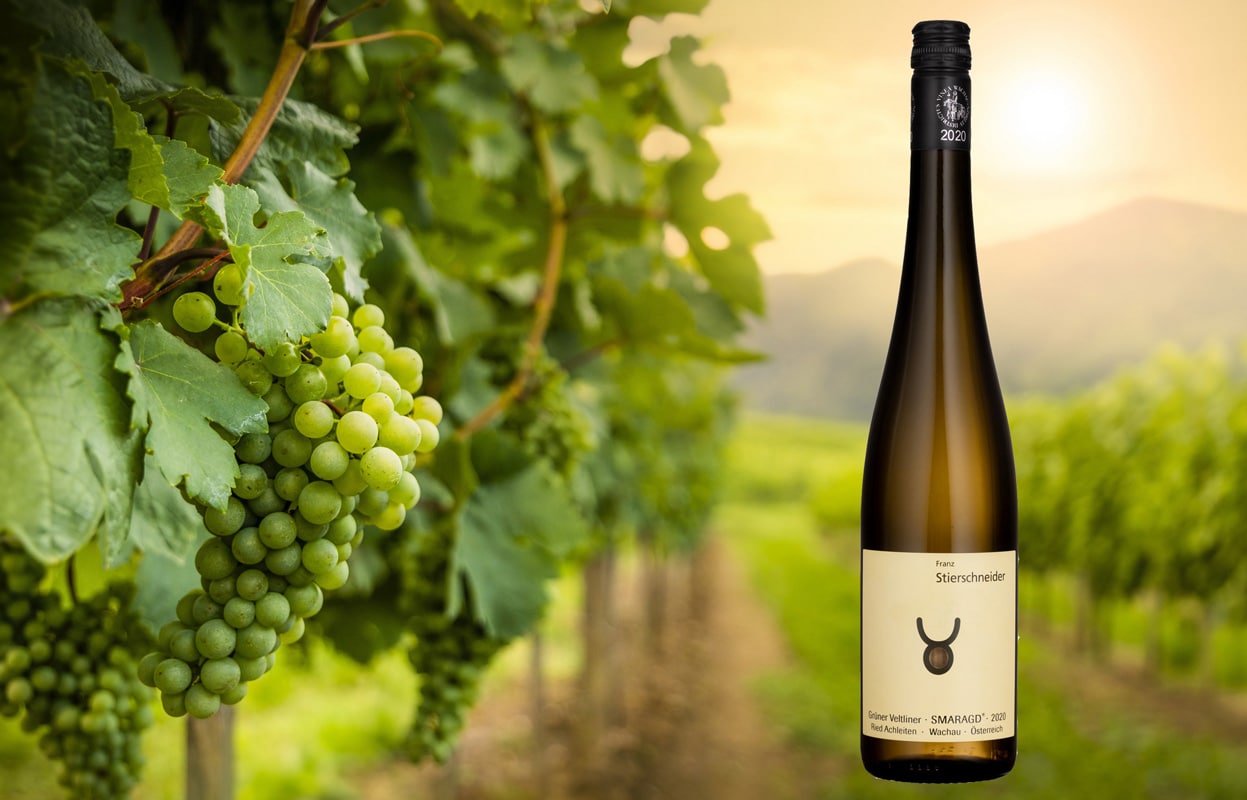Weinberg in der Wachau