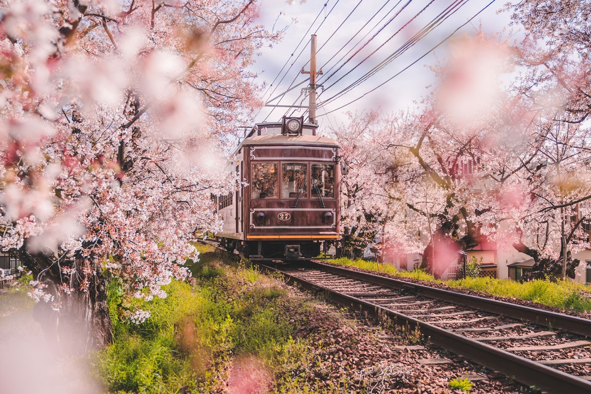 Fruehling_Bahn