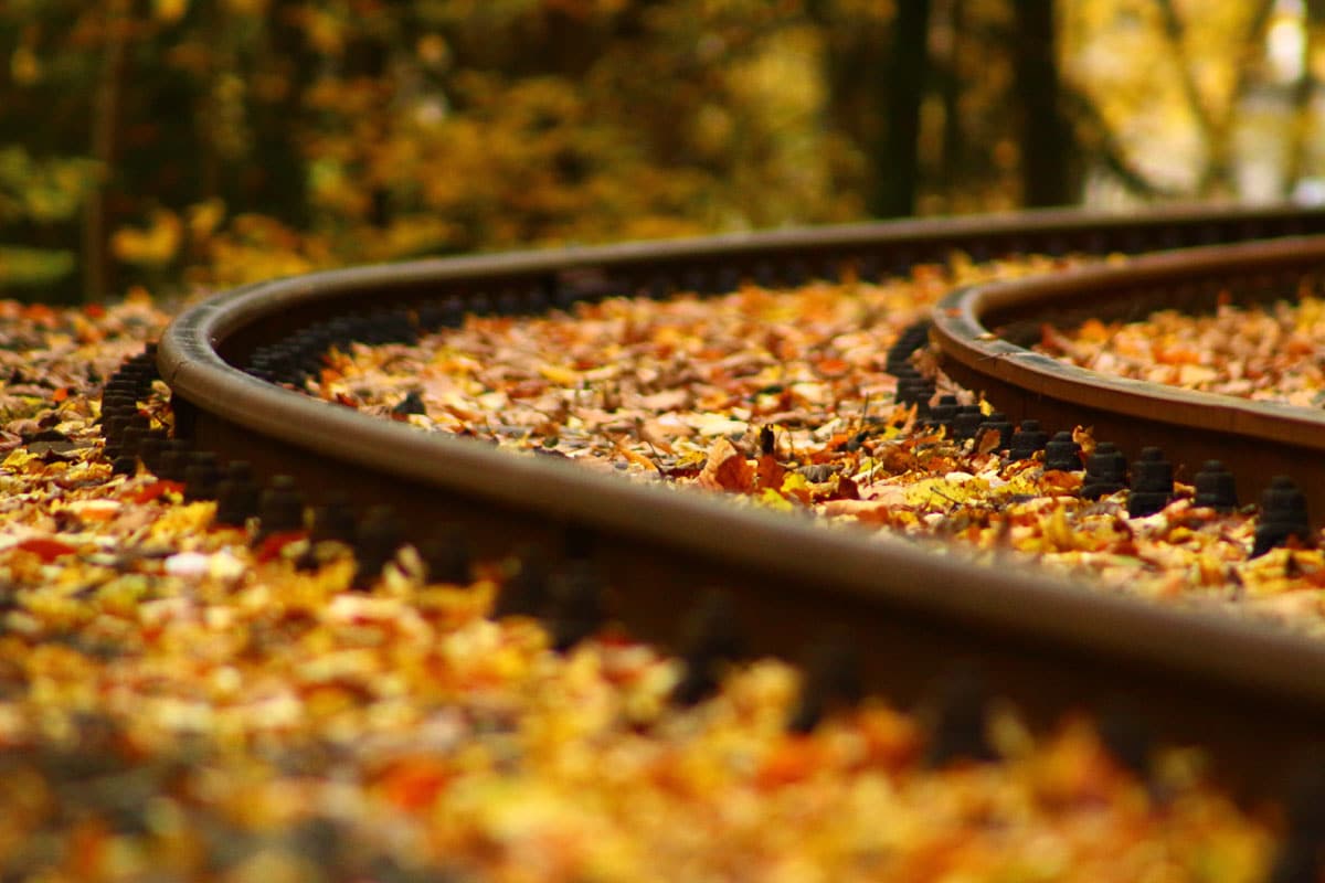 Herbst_Bahn