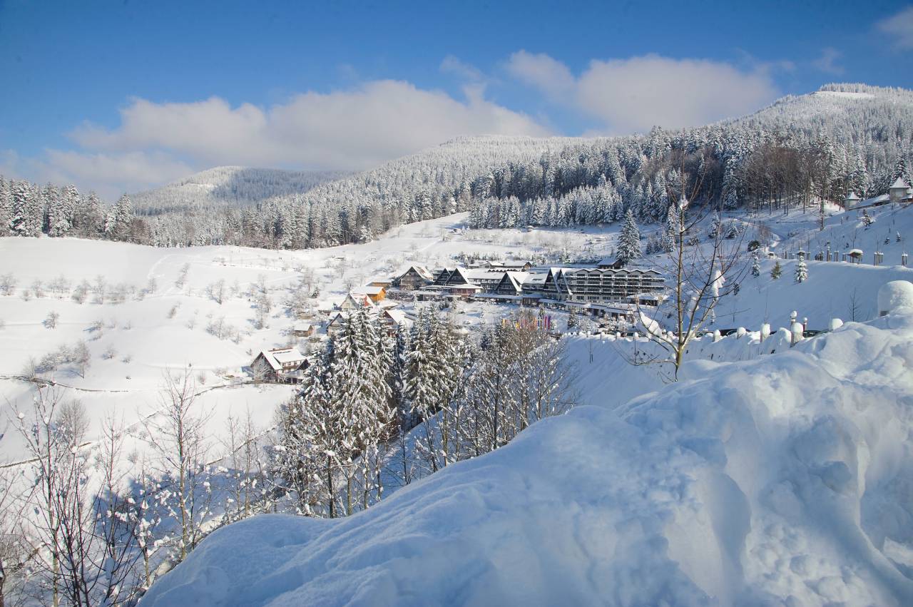 Dollenberg - Winter-Hideaways