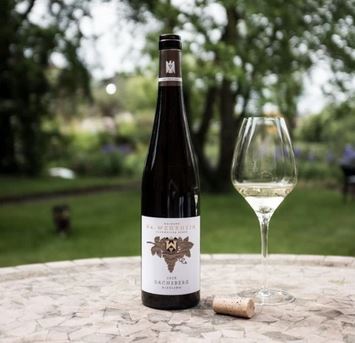 Riesling_Weinpaket