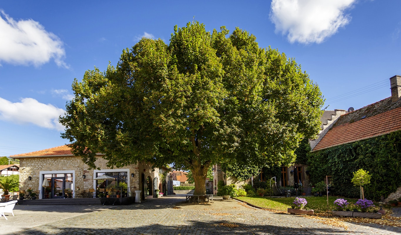 Weingut Bremer | Zellertal