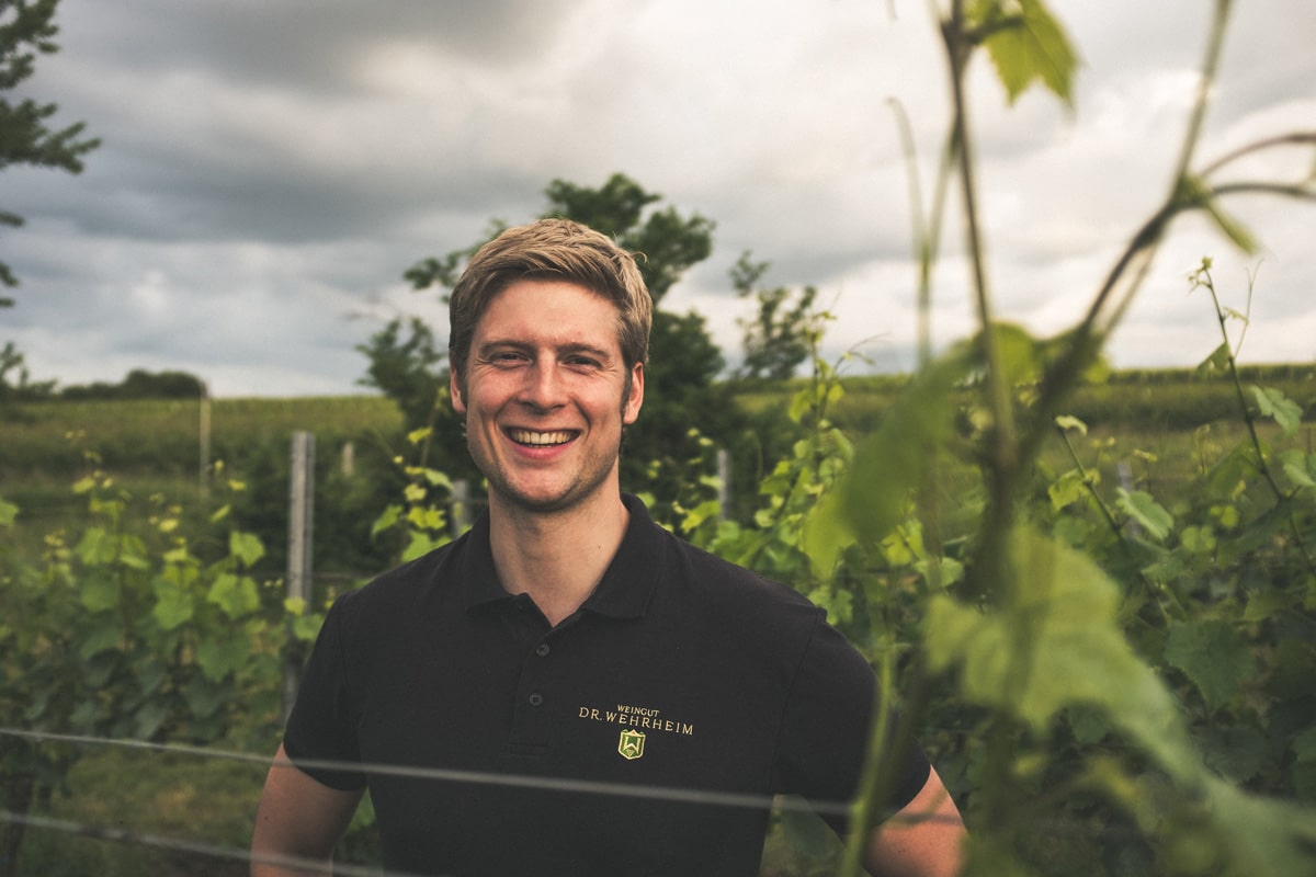 Weingut Dr. Wehrheim | Birkweiler