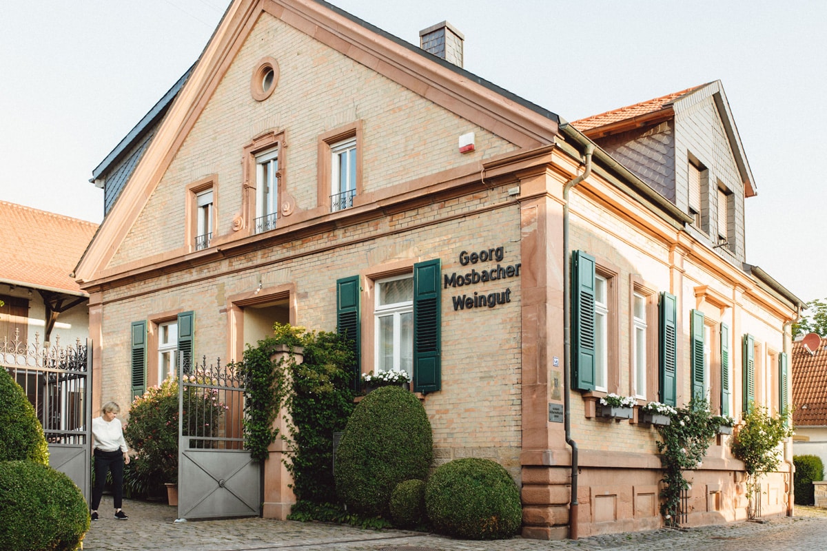 Weingut Georg Mosbacher | Forst an der Weinstraße