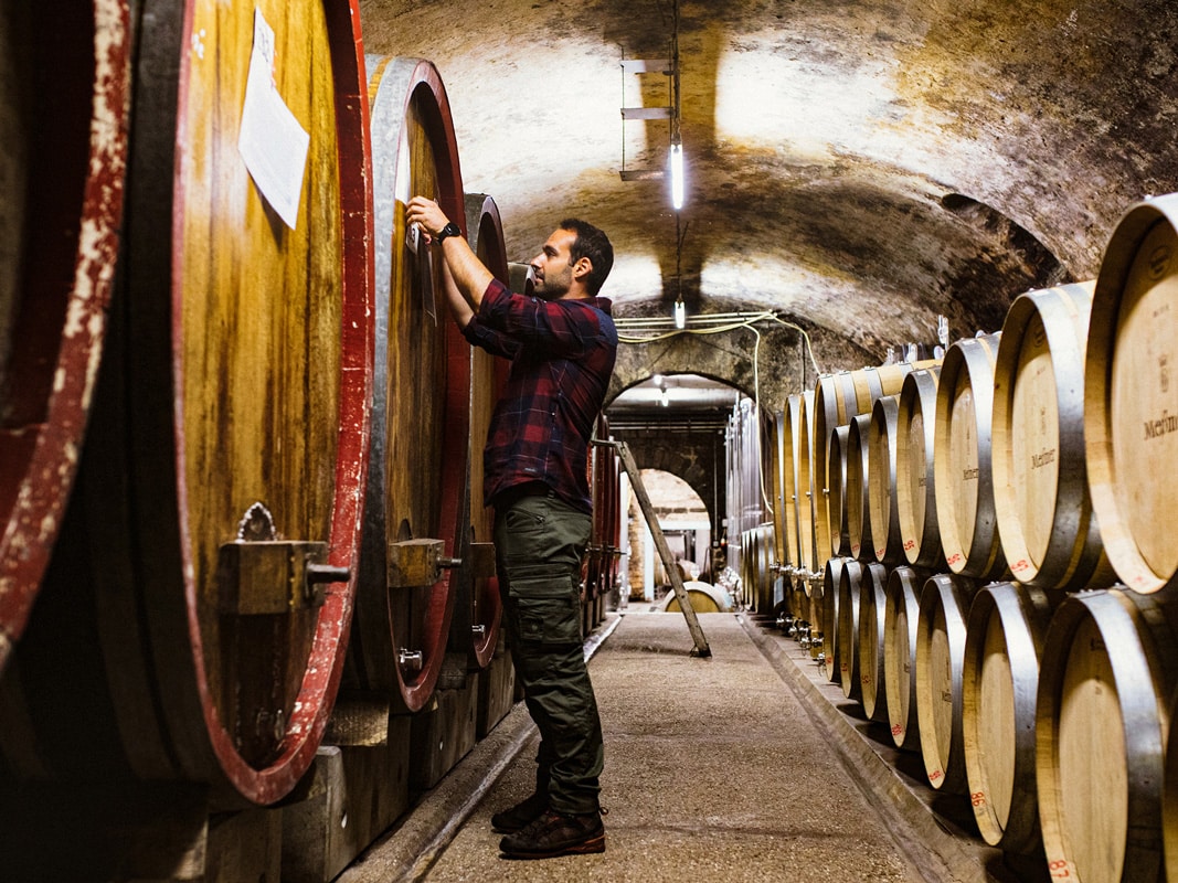 Weingut Herbert Meßmer | Burrweiler