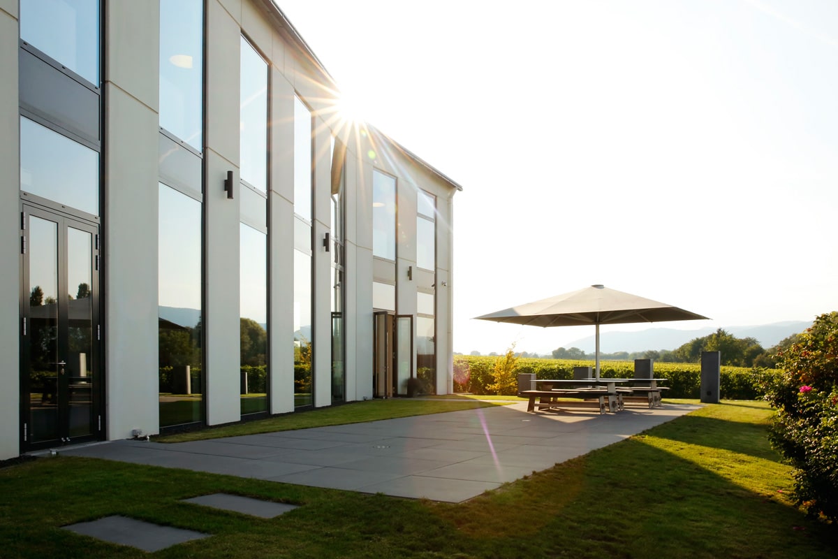 Weingut Karl Pfaffmann | Walsheim
