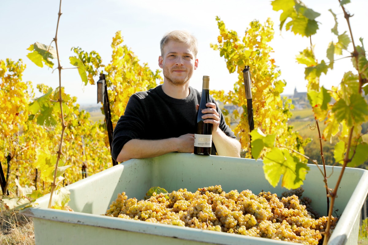 Weingut Meier | Weyher in der Pfalz