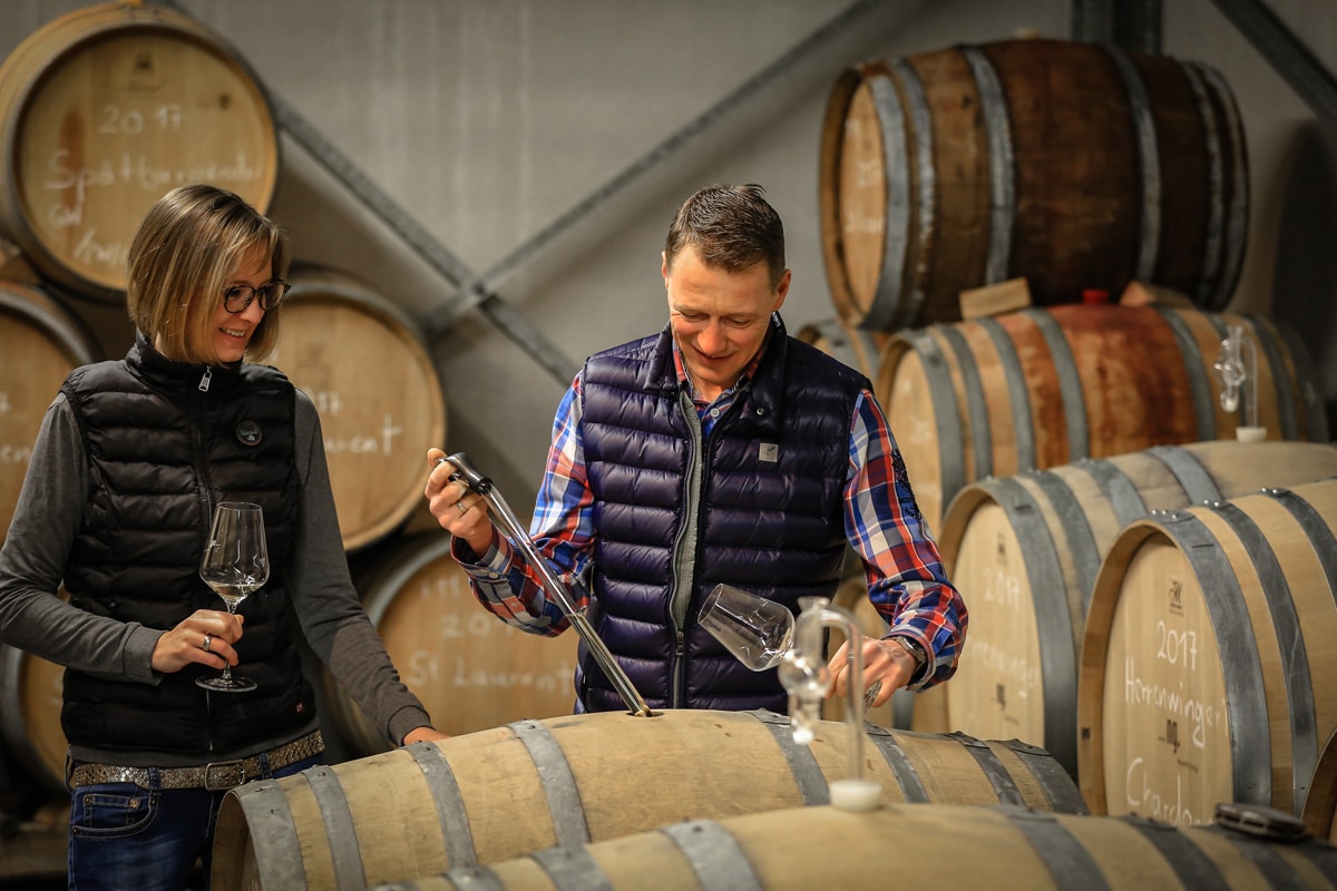 Weingut Nauerth-Gnägy | Schweigen-Rechtenbach
