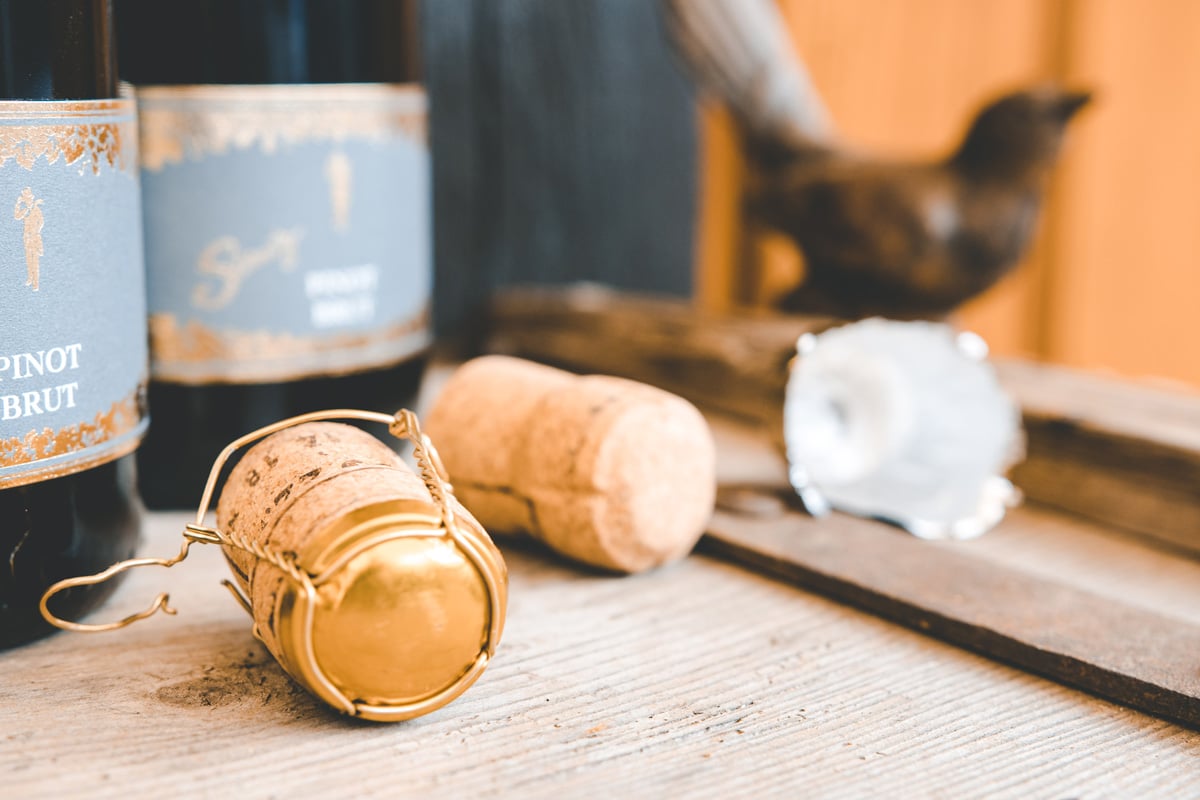 30 Top-Winzer aus der Pfalz