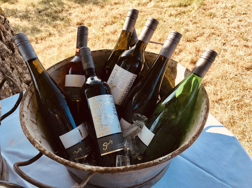 Weingut Stentz | Landau-Mörzheim