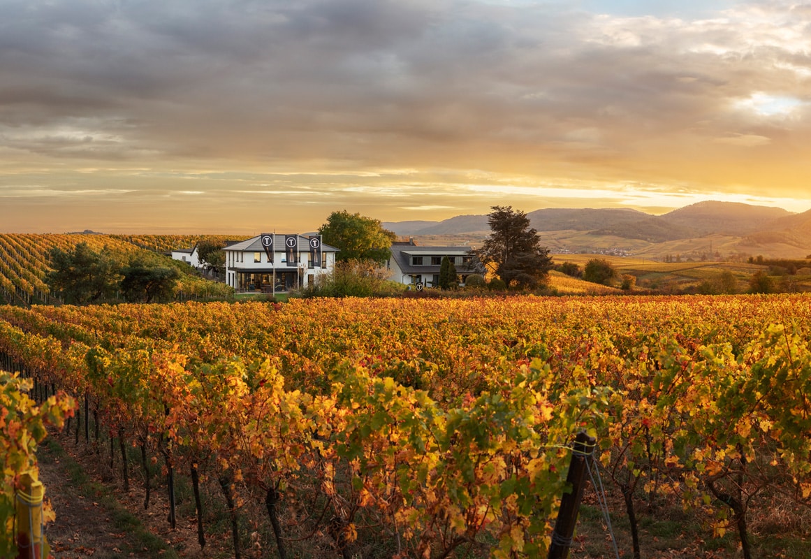 Weingut Tina Pfaffmann | Frankweiler
