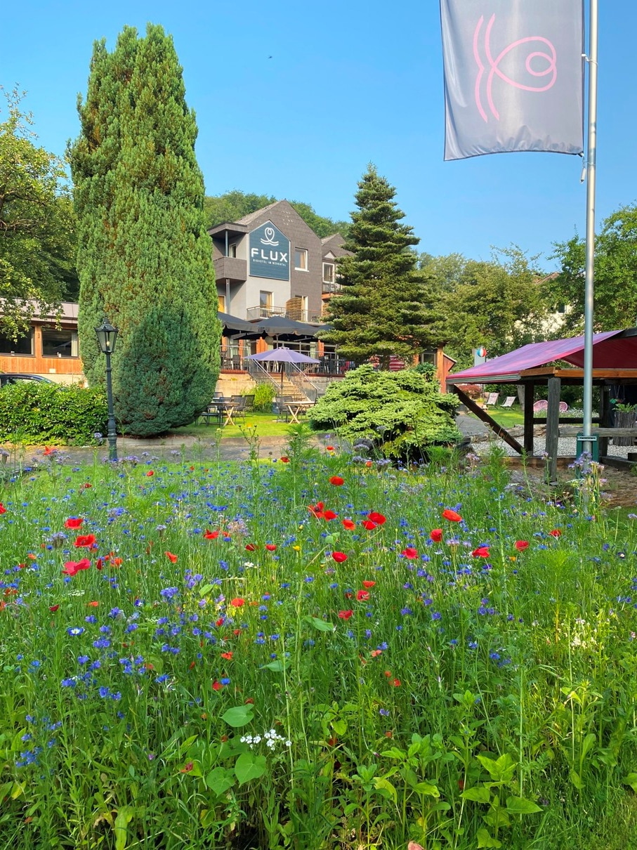 FlluxAussenBlumequer