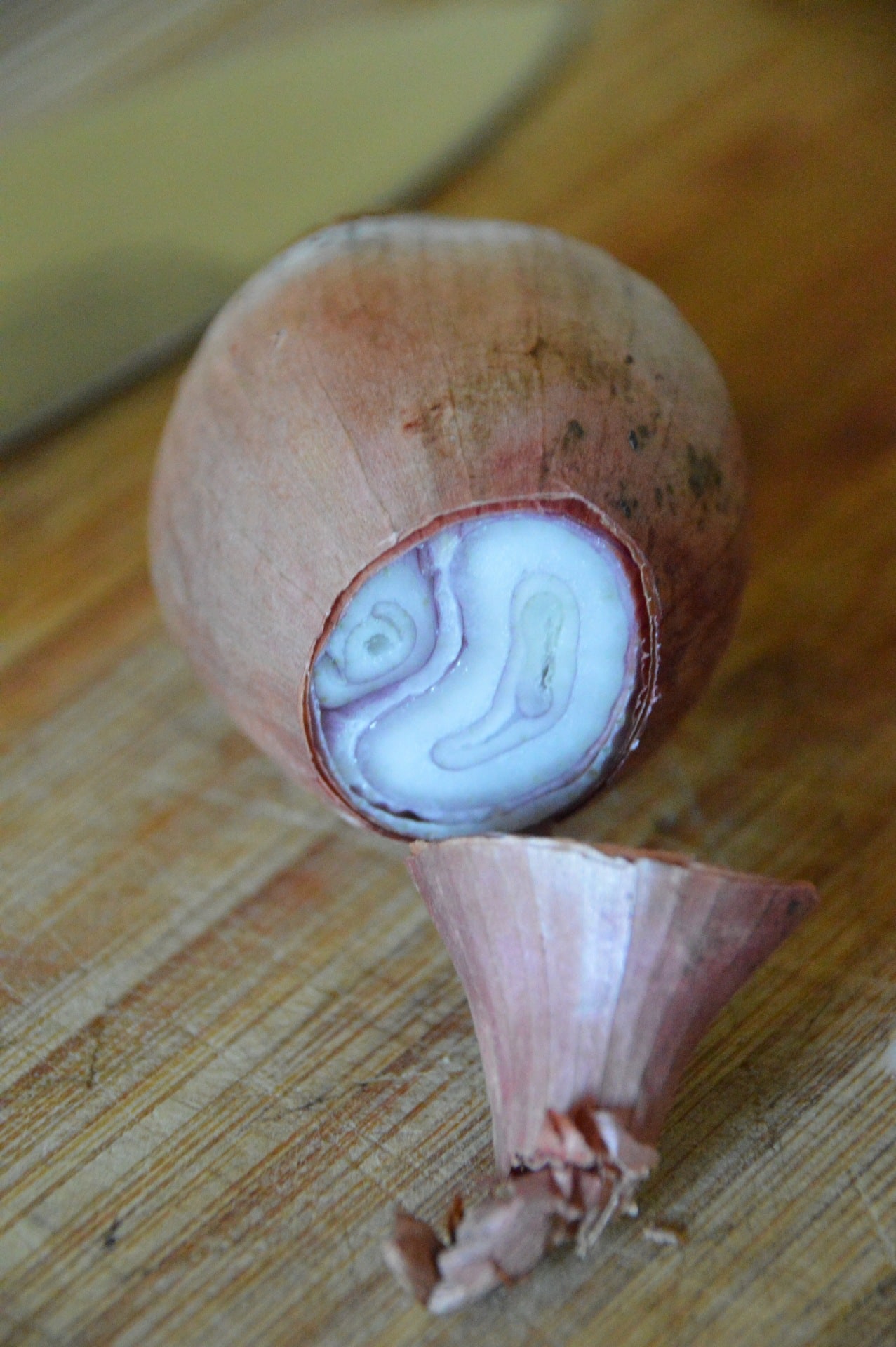 Zwiebel ungeschält Zwiebel in Schale