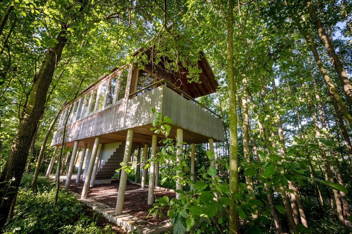 Baumhaus Baumhaus