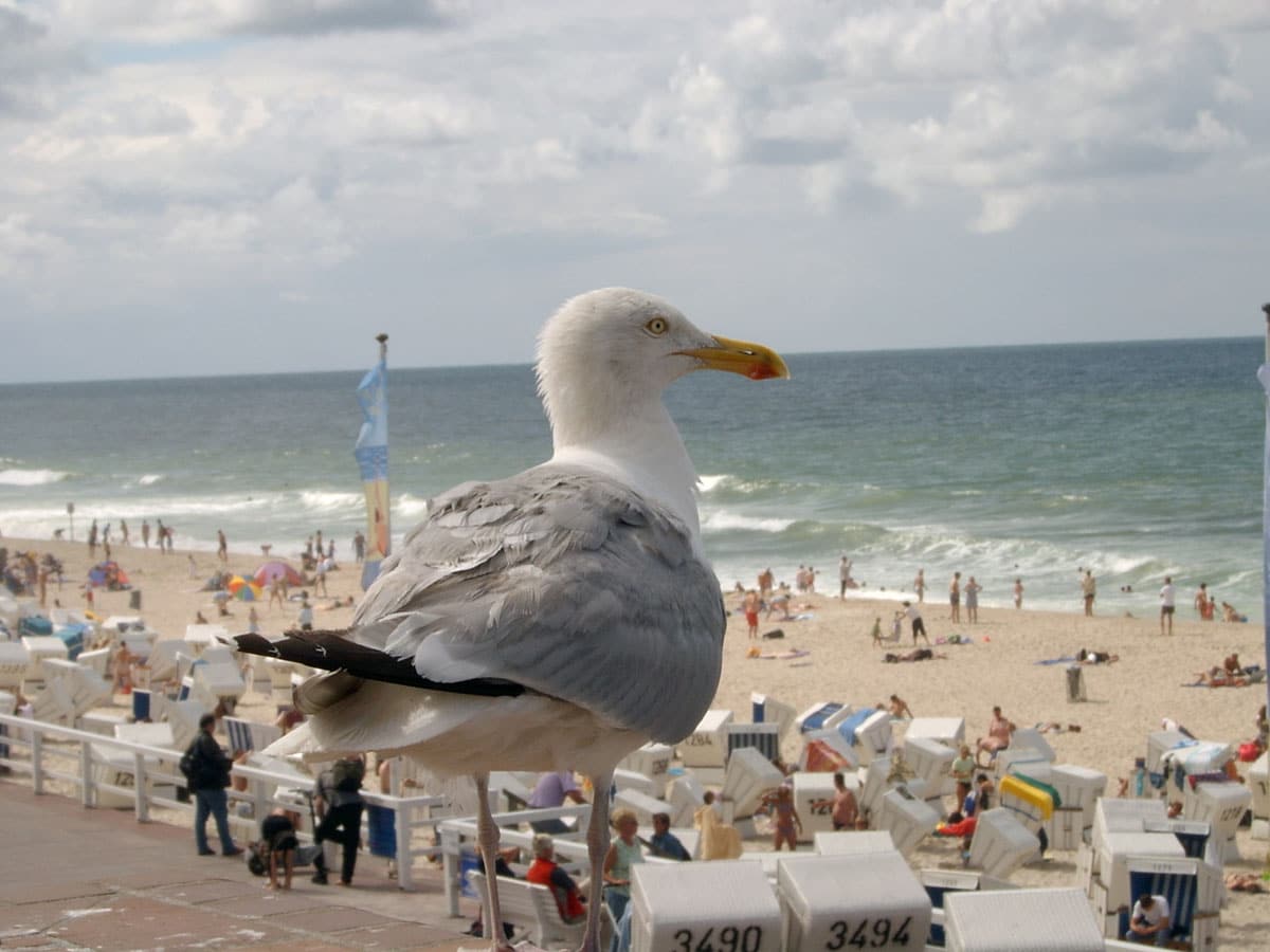 Westerland-Wasser