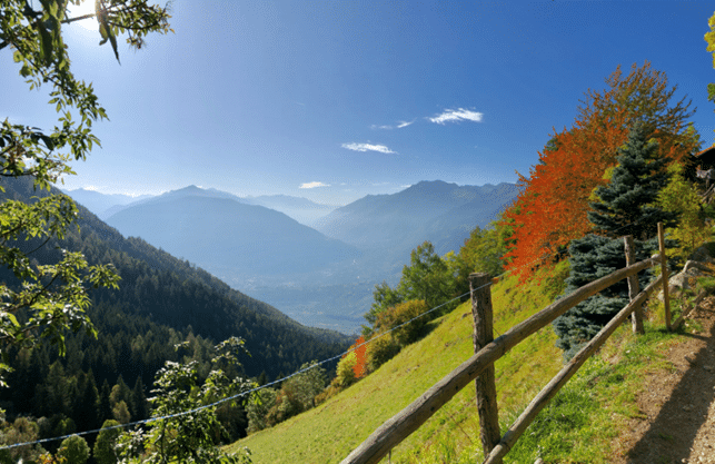 Ausblick von Schenna Ausblick von Schenna