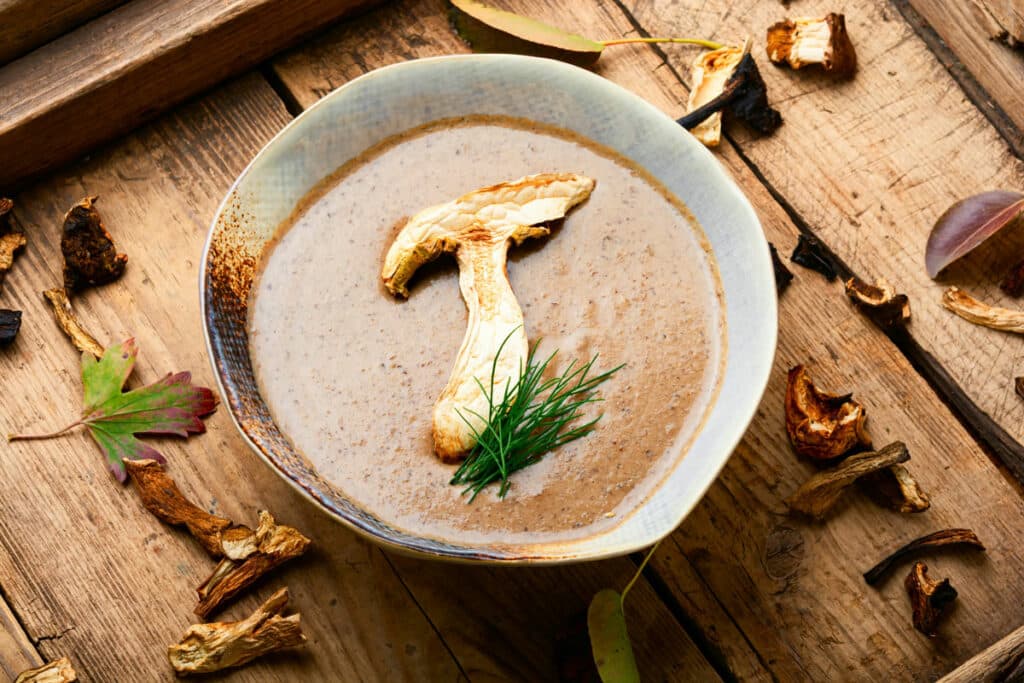 Pilzsuppe