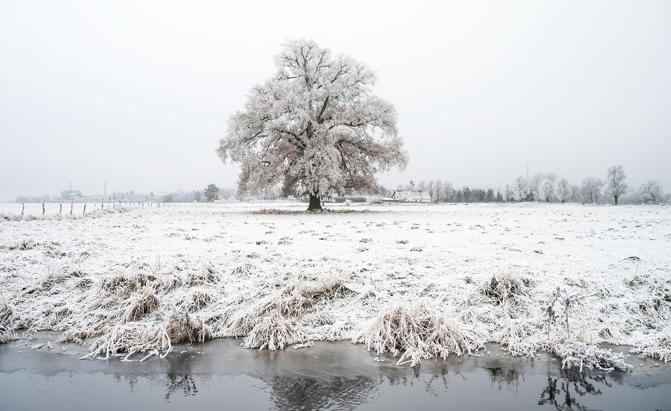 Winter in der Prignitz