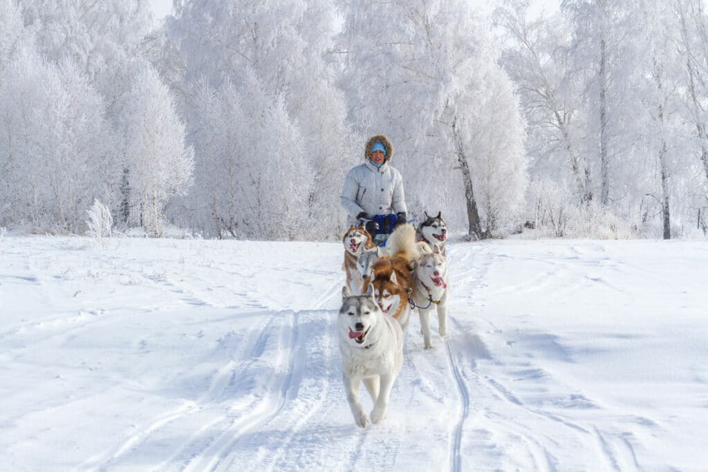 mushing mushing