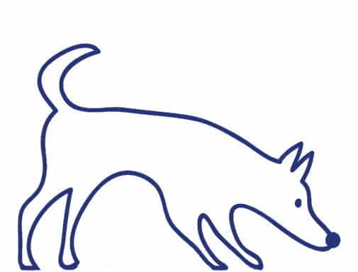dog1blue_white_1