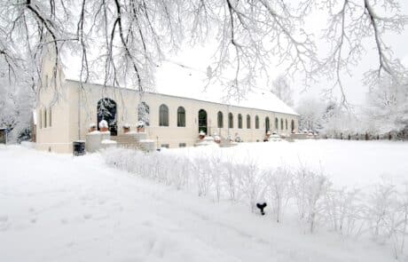 Winter