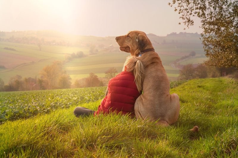 Hundefreundliche Hotels in Deutschland
