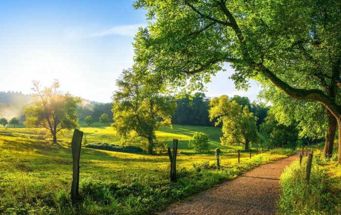 Sommerlandschaft - Wohin im Juli?
