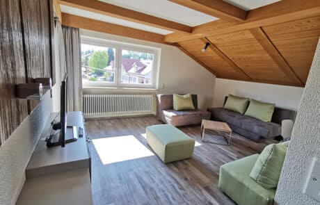 Apartment Apartment Hotel Allgäu Scheidegg