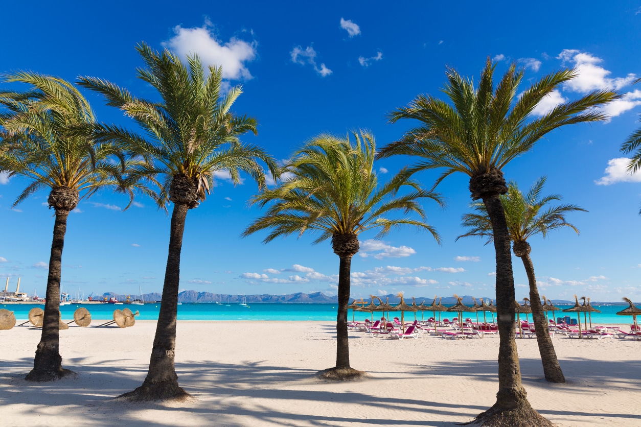Mallorca Platja de Alcudia beach in Mallorca Alcudia Beach auf Mallorca