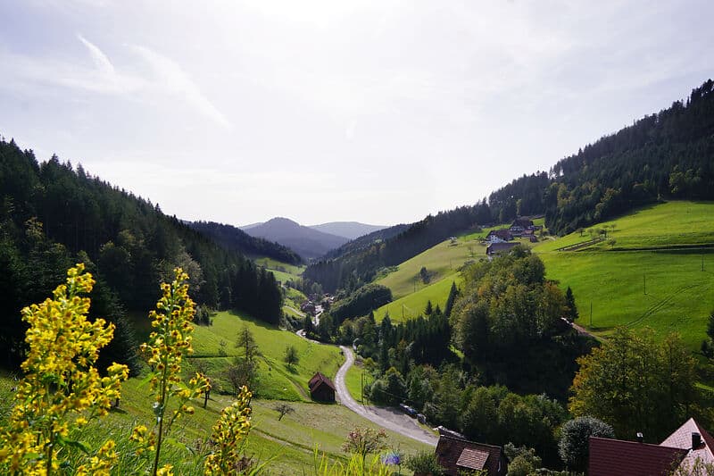 Bad Peterstal-Griesbach, Bad Peterstal Griesbach, Ortenau, Renchtal, Baden-Württemberg, Natur, Landschaft, Wanderweg, Himmelssteig, Häuser, Sommer, Hügel, Wiese, Tal