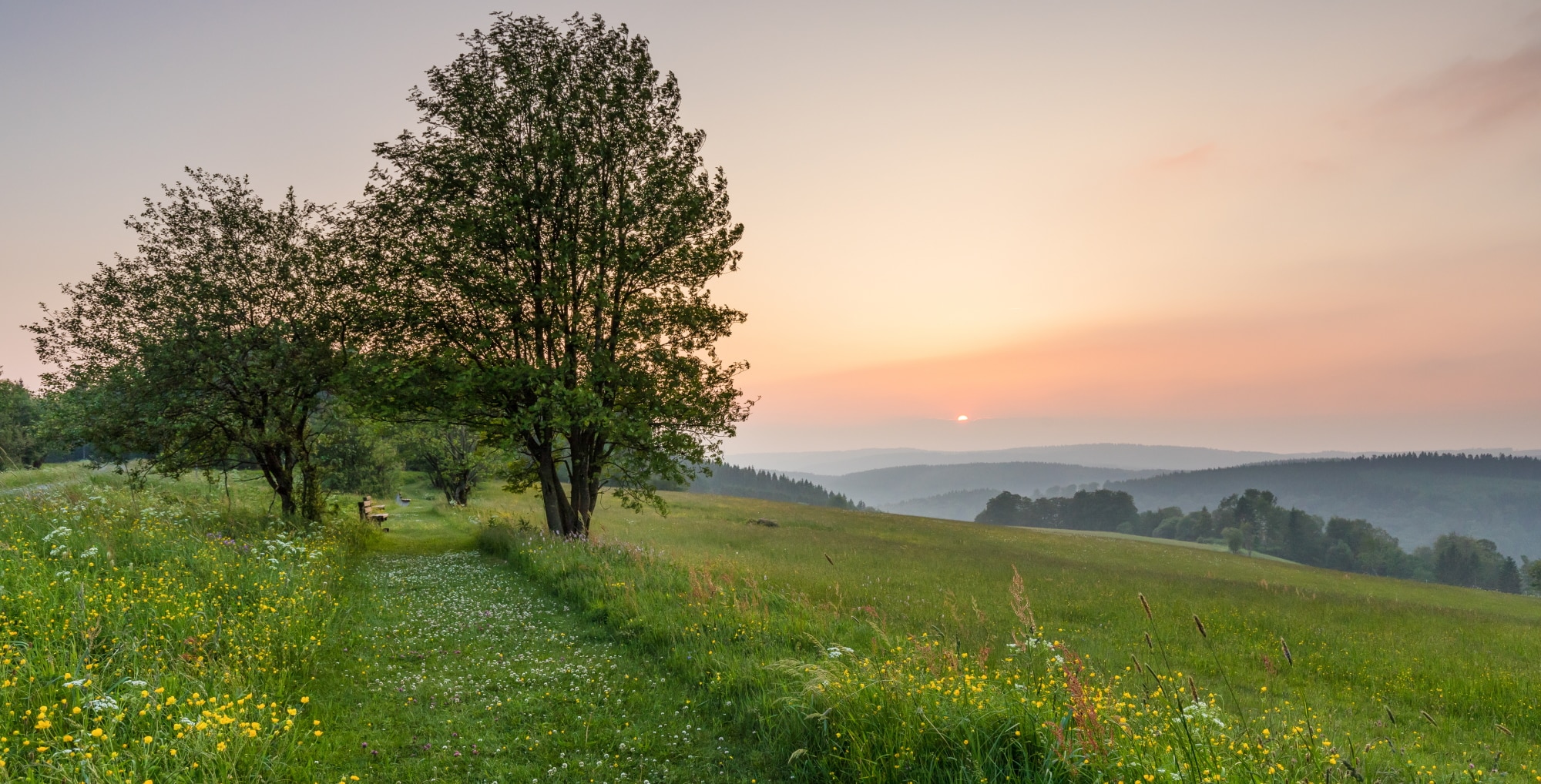 Collection Sauerland