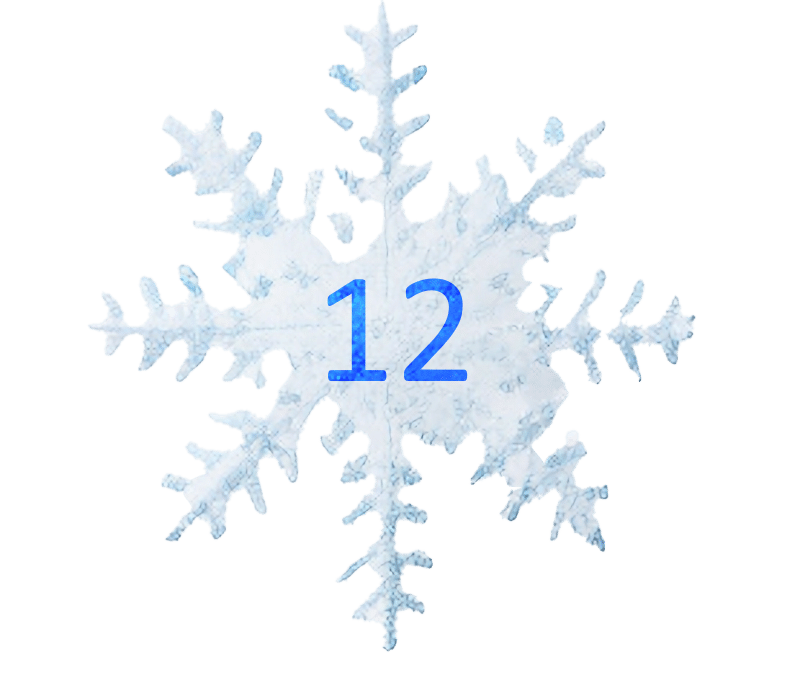 12_Eiskristall
