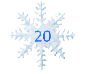 20_Eiskristall