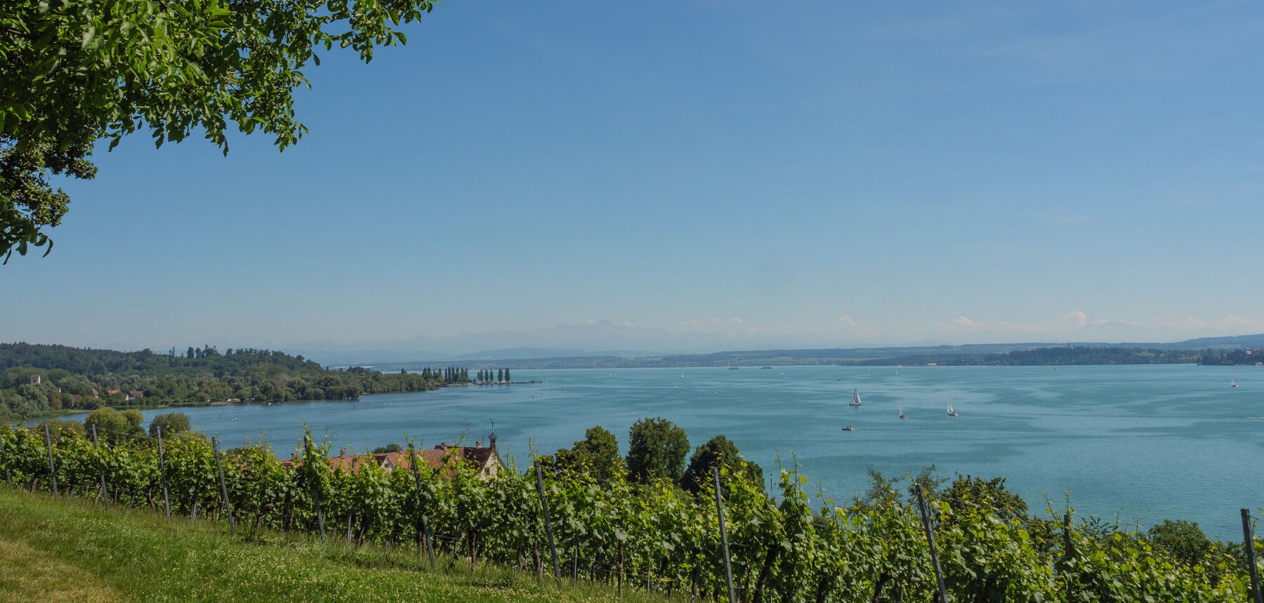 Collection Bodensee