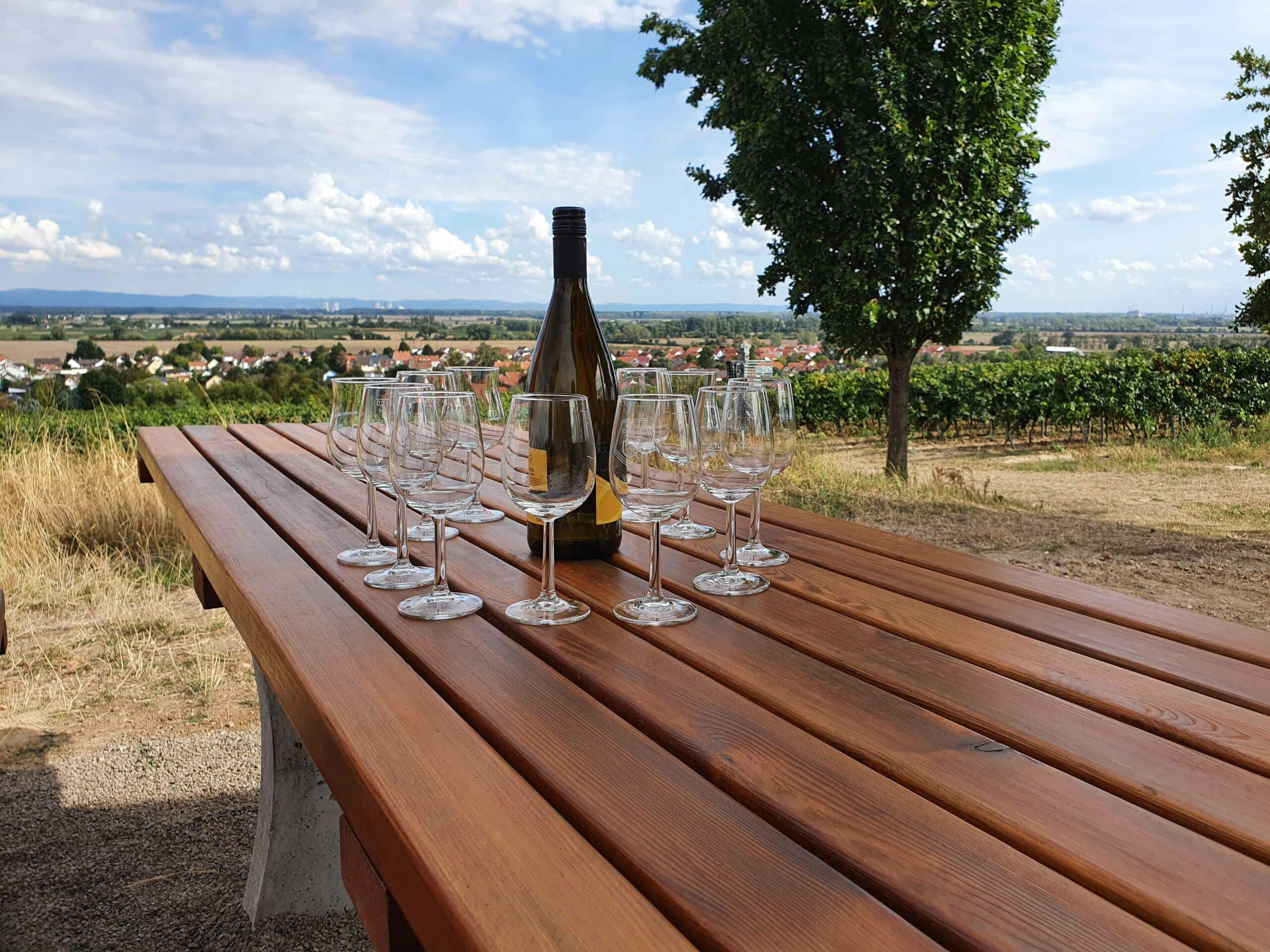 Ein Prosit auf den Rheinterrassenblick Mettenheim