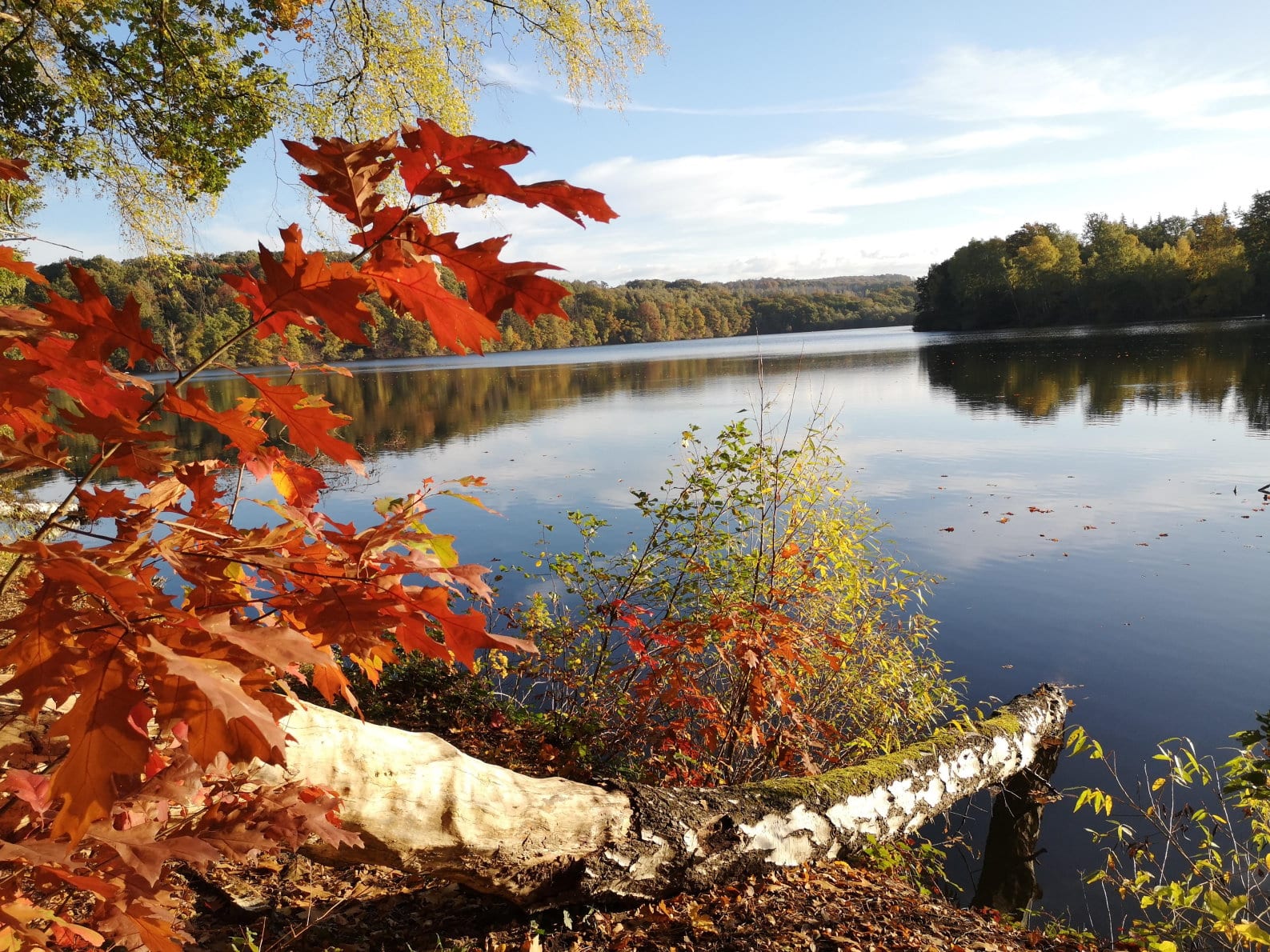 Naturparadies Möhnesee