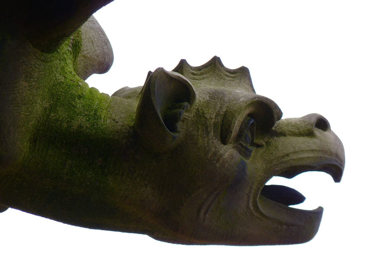 Drache