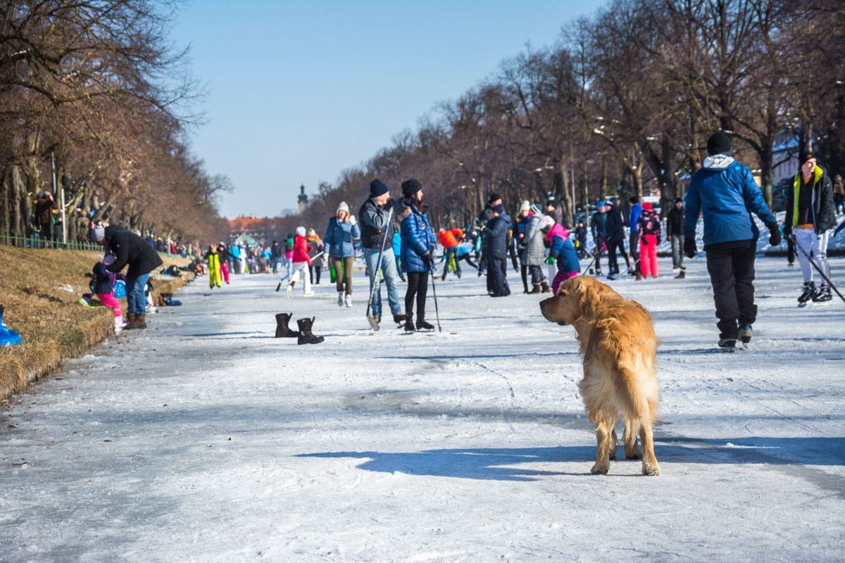 Kanal_Eislauf
