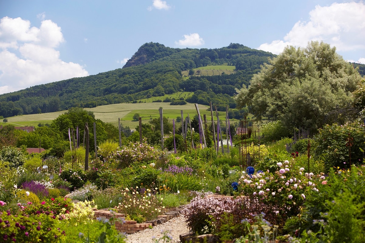 Syringa Duftgarten in Hilzingen - Kräuterwochen am westlichen Bodensee