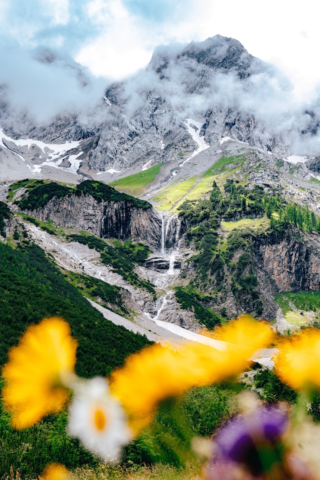 Walliserhof-Berge Hochformatfoto von verschneiten Bergspitzen mit grünen Tal mit Wasserfall und im Vordergrund gelbe Blumen