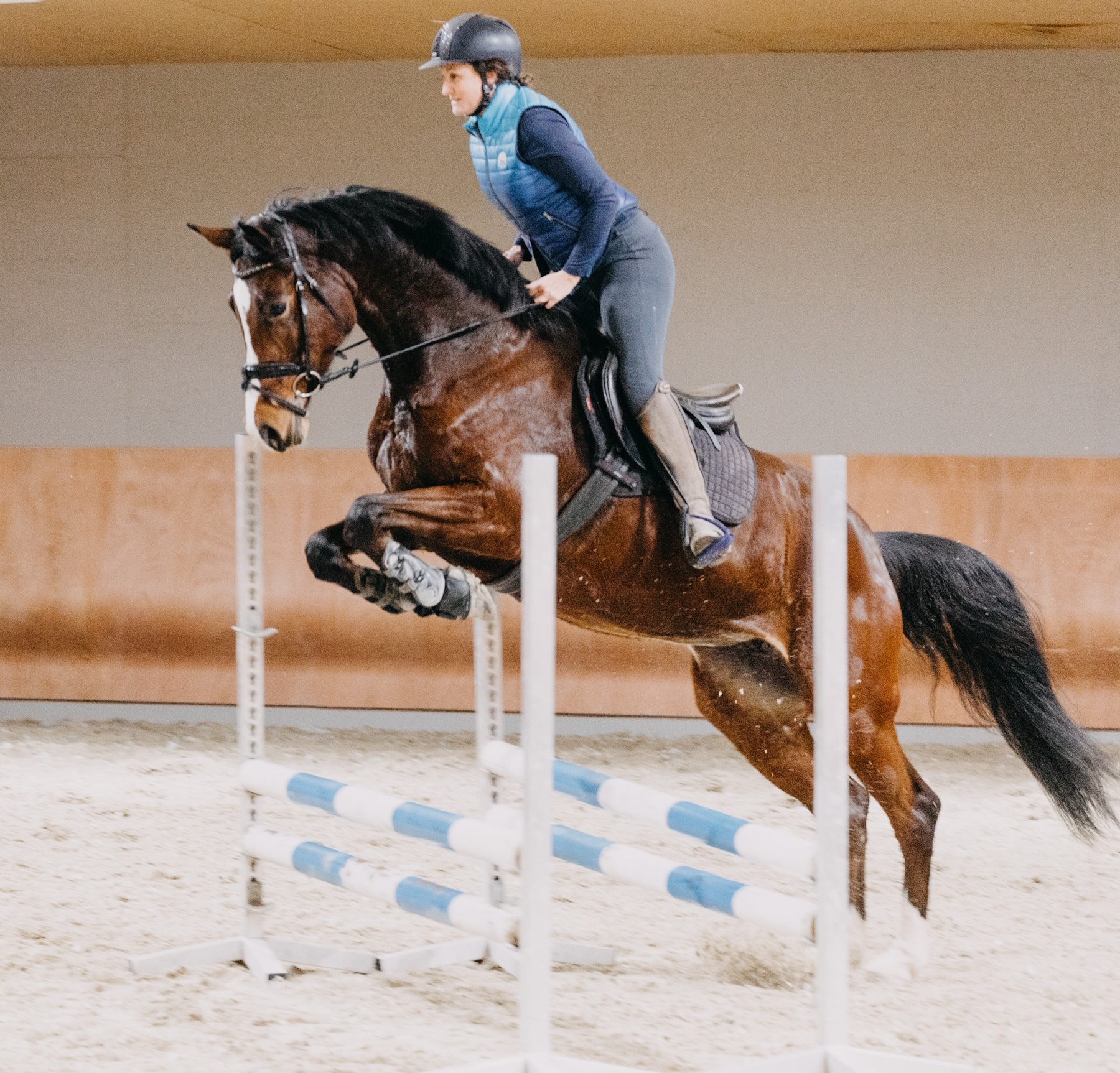 Walliserhof-Reiten Reiterin über einem Sprung mit braunem Pferd in Reithalle