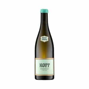 Pinot noir Pinot noir