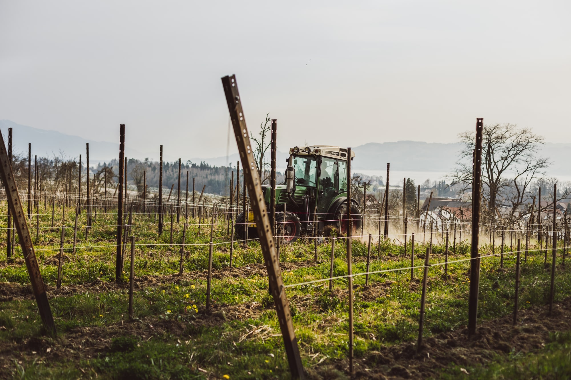 Traktor fährt durch den Weinberg im Winter