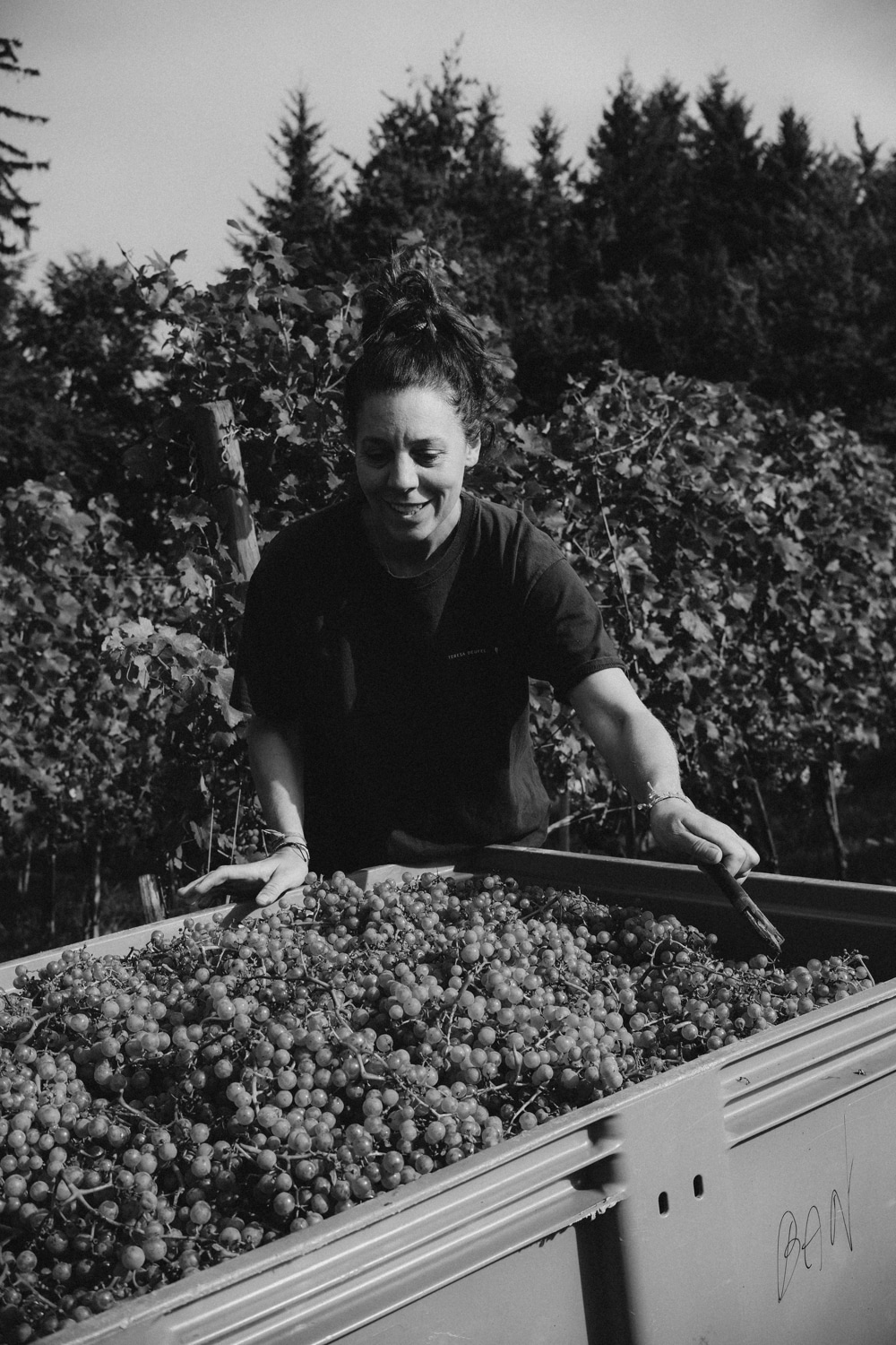 Teresa Deufel Portrait 1 Schwarz-weiß-Fotografie von Winzerin Teresa Deufel wie sie vor einem gefüllten Erntewagen steht