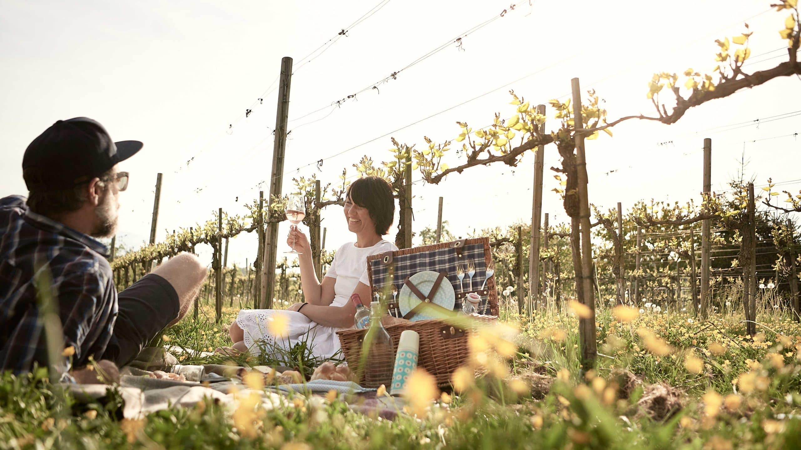 Pärchen picknickt im Sommer im Weinberg unter Weinreben im Gras