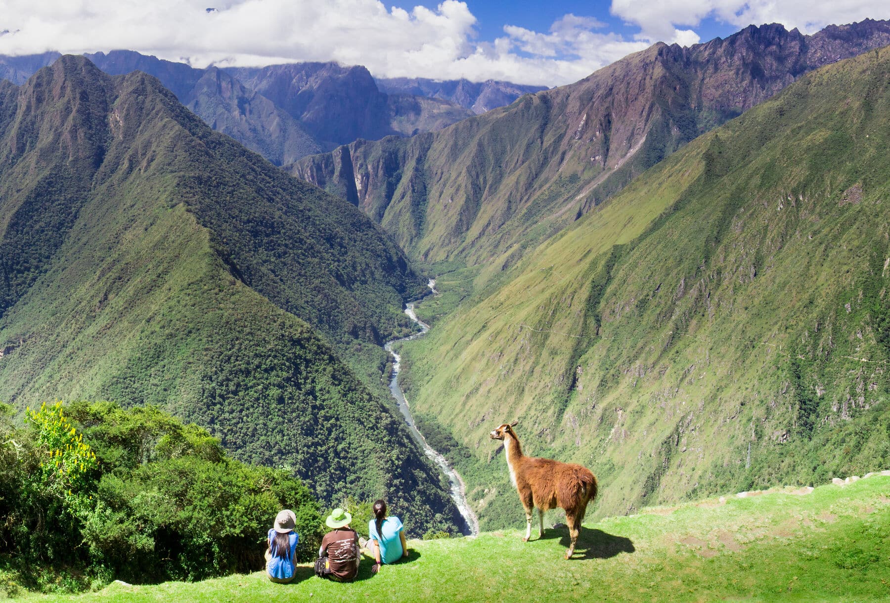 Llama and people on Inca Trail Llama and people gaze out from the Inca trail over a verdant valley in Peru.