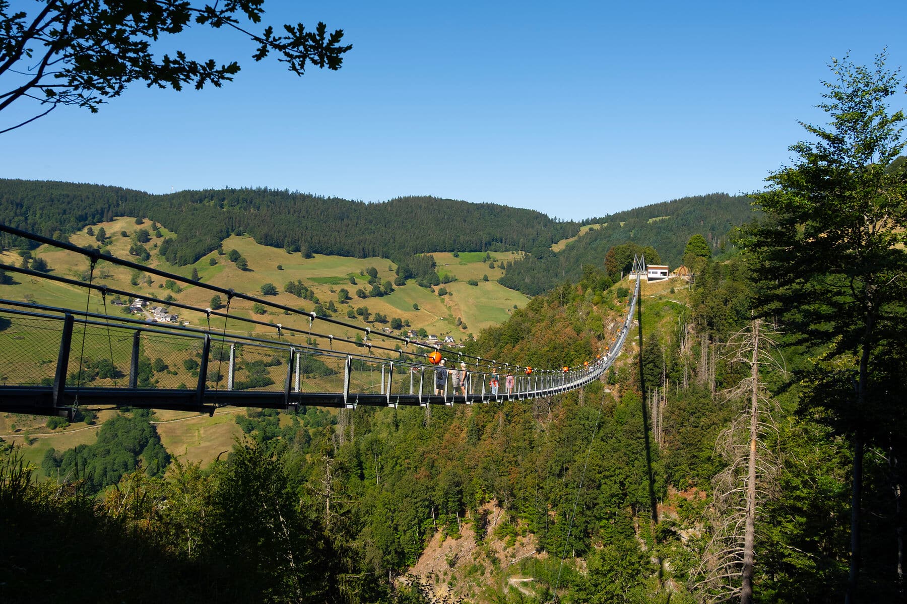 Blackforest Hängebrücke Hängebrücke am Todtnauer Wasserfall im Schwarzwald