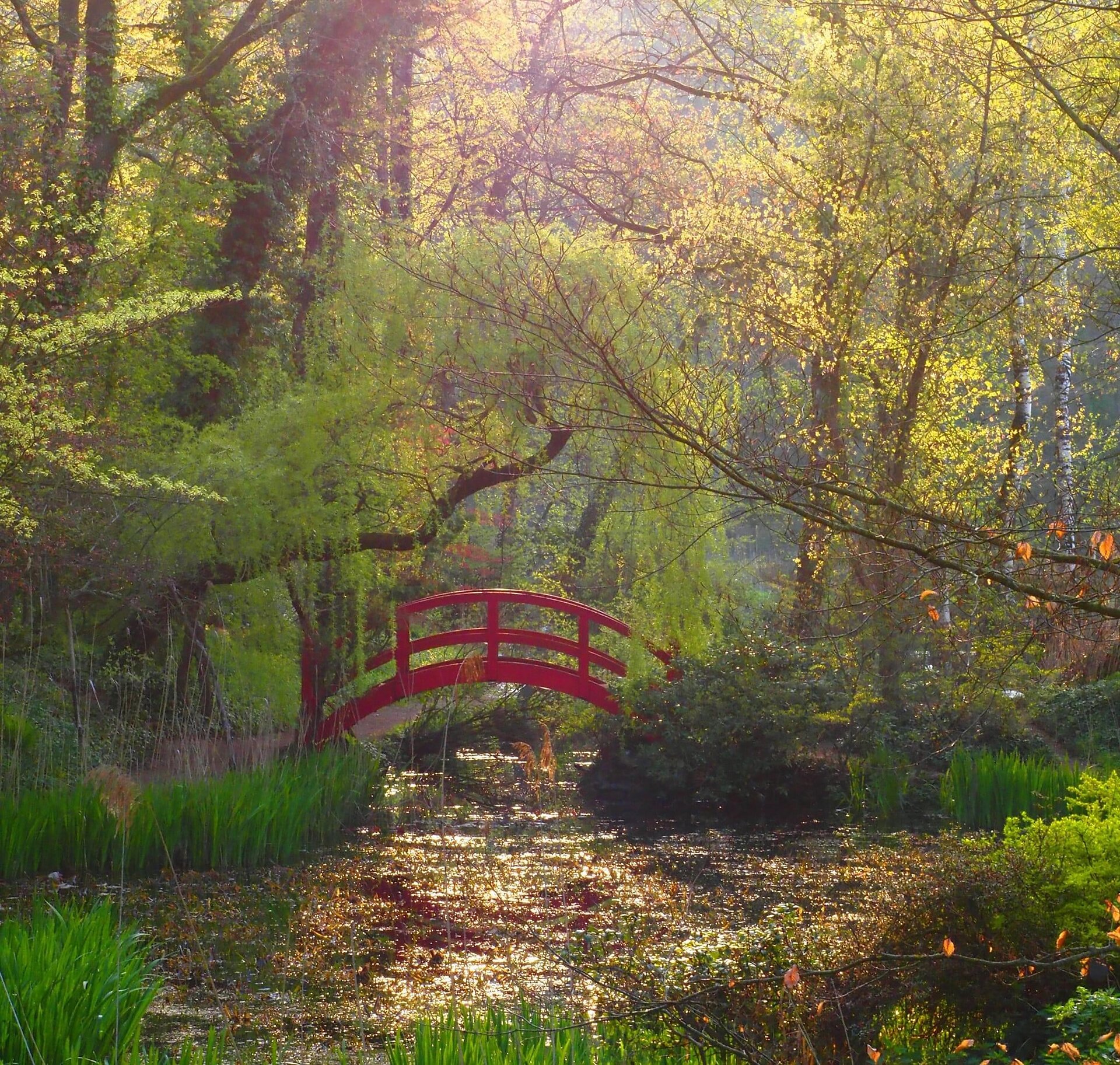 Schlosspark Dennenlohe, Landschaftspark mit Brücke Schlosspark Dennenlohe, Landschaftspark mit Brücke