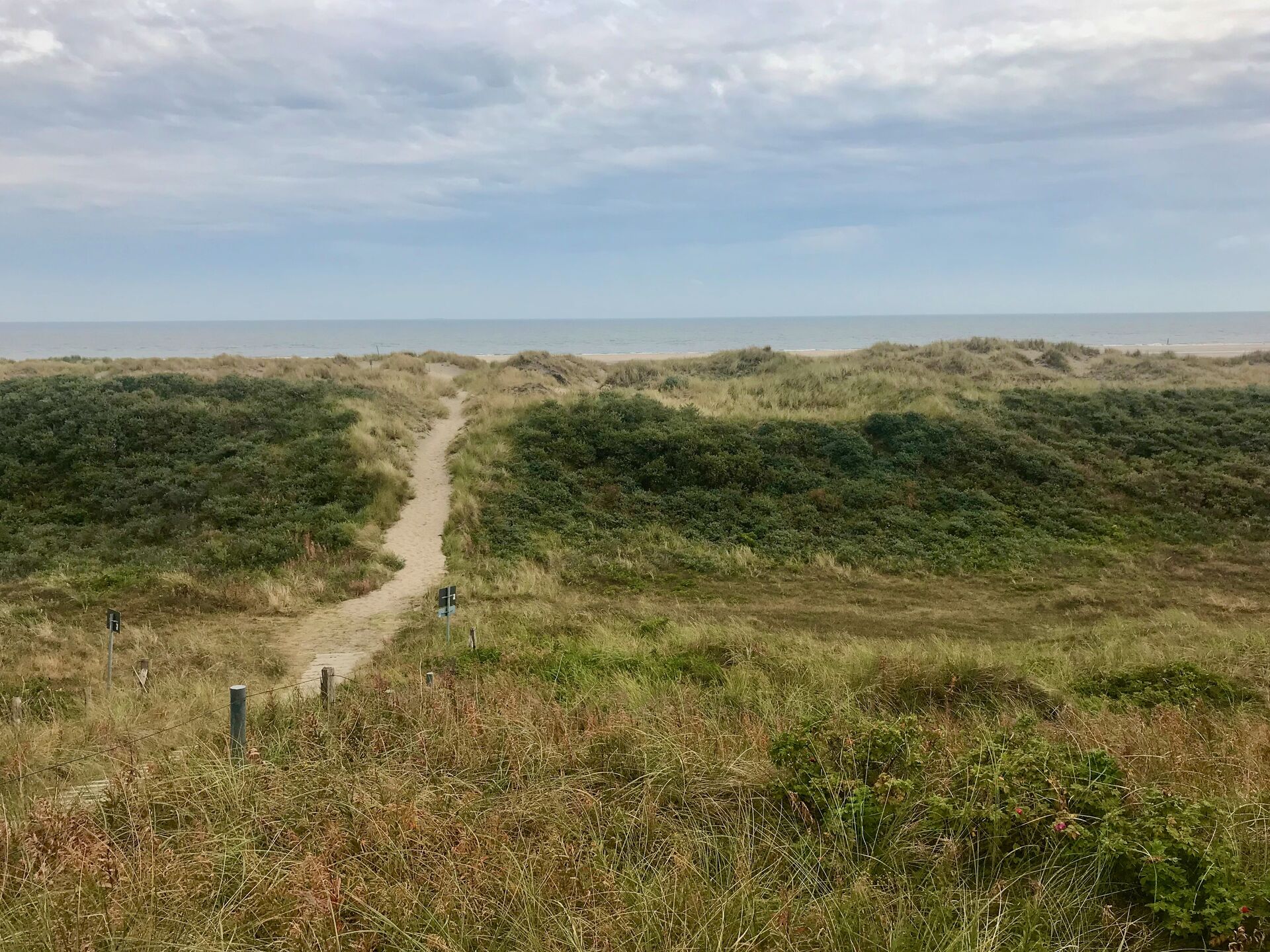 Natur auf Wangerooge
